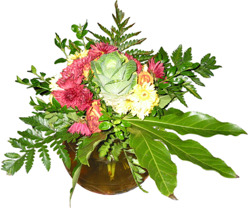 ������������� �����������