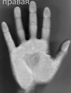 ������������� �����������