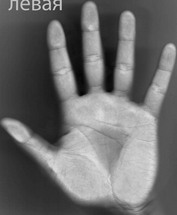 ������������� �����������