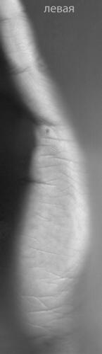 ������������� �����������