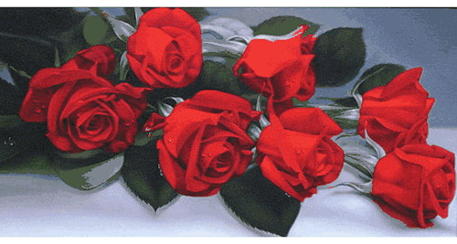 ������������� �����������