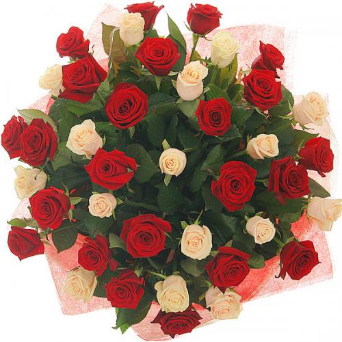 ������������� �����������