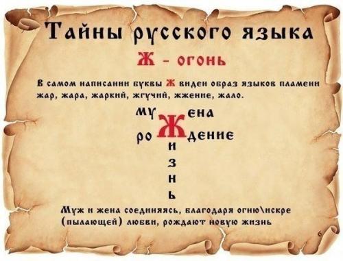 ������������� �����������