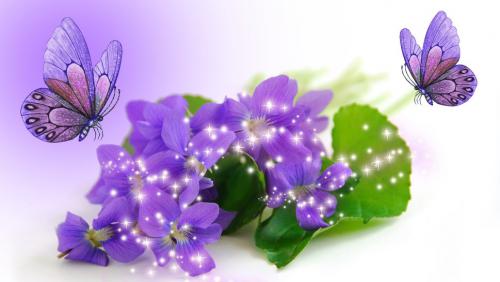 ������������� �����������