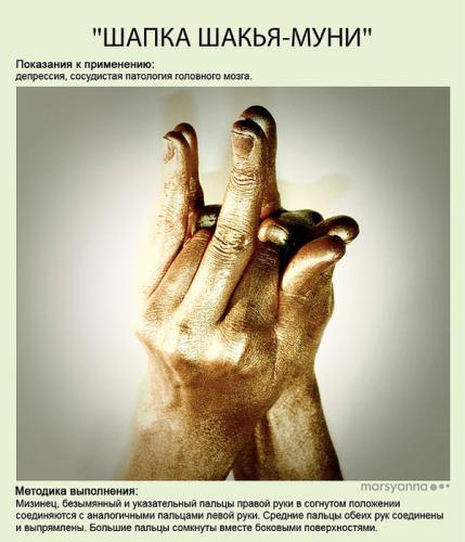 ������������� �����������