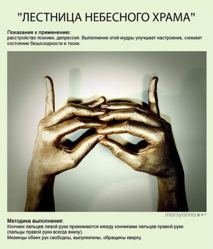 ������������� �����������