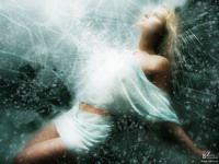 ������������� �����������