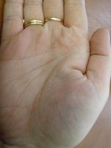 ������������� �����������