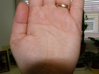 ������������� �����������