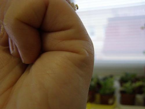 ������������� �����������