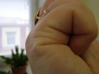 ������������� �����������