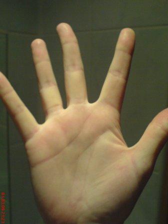 ������������� �����������