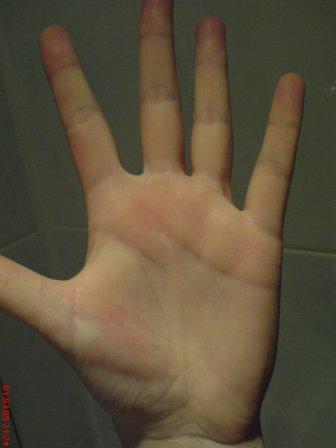 ������������� �����������