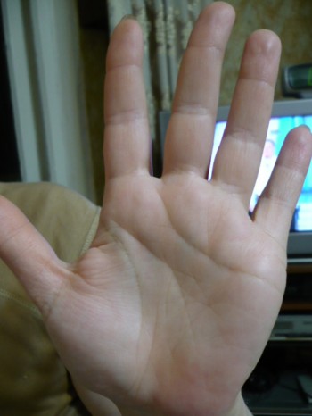 ������������� �����������