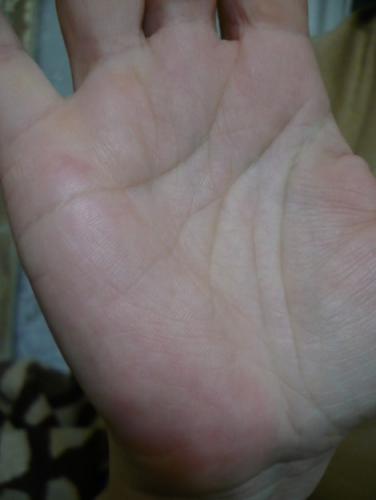 ������������� �����������