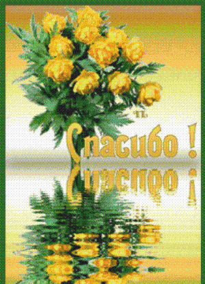 ������������� �����������