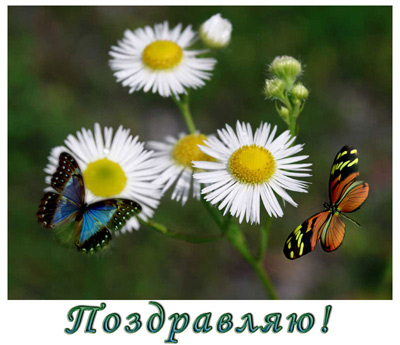 ������������� �����������