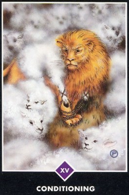 ������������� �����������