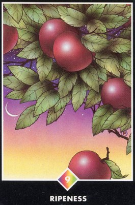 ������������� �����������