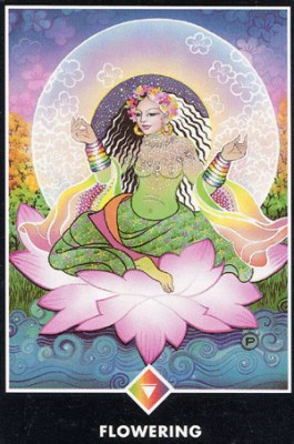 ������������� �����������