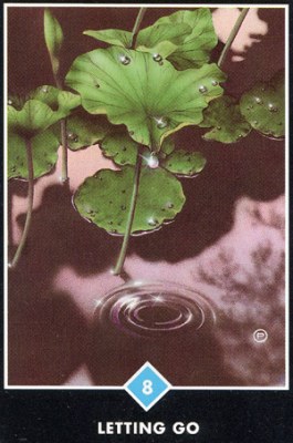 ������������� �����������