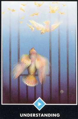 ������������� �����������