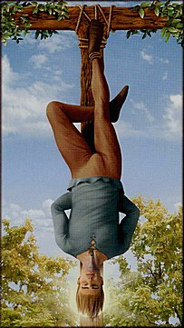 ������������� �����������