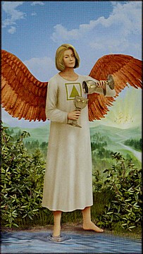 ������������� �����������