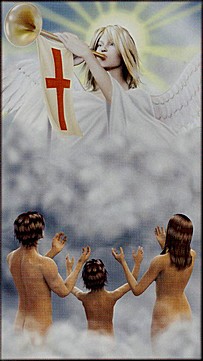 ������������� �����������