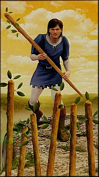 ������������� �����������