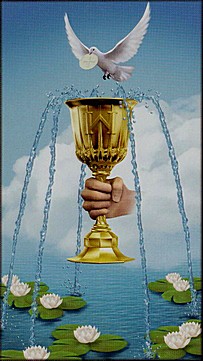 ������������� �����������