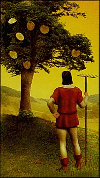 ������������� �����������