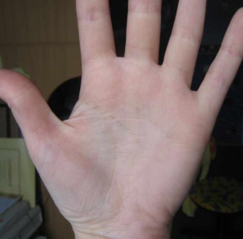 ������������� �����������