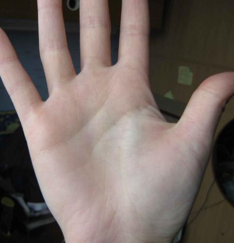 ������������� �����������