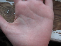 ������������� �����������