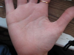 ������������� �����������