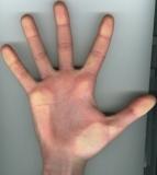 ������������� �����������