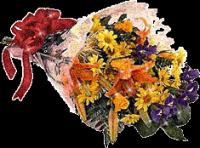 ������������� �����������