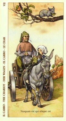 ������������� �����������