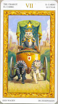 ������������� �����������