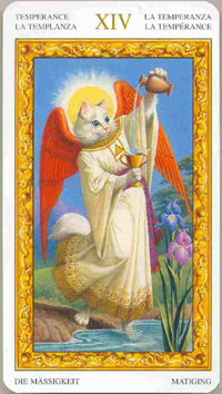 ������������� �����������