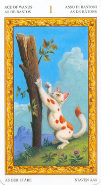 ������������� �����������