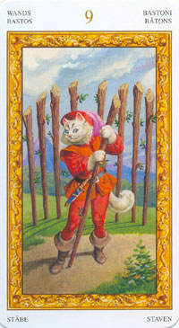 ������������� �����������