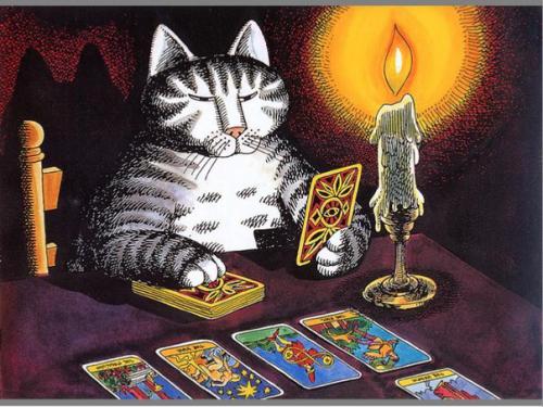 ������������� �����������