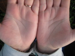 ������������� �����������