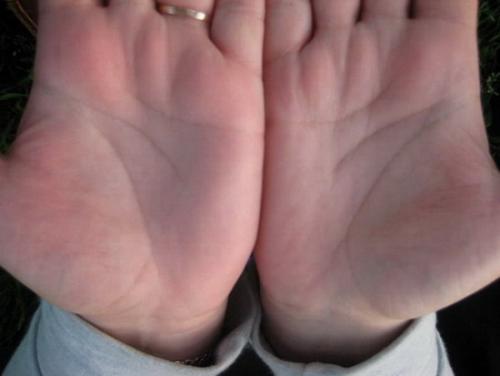 ������������� �����������