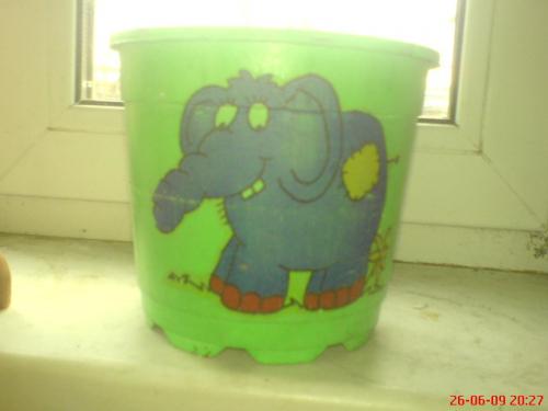 ������������� �����������