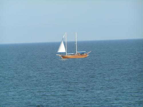 ������������� �����������