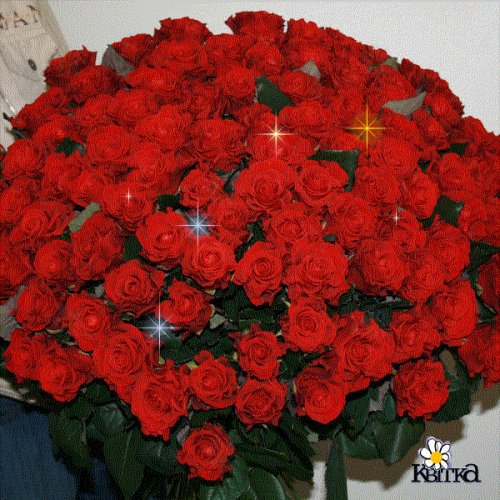 ������������� �����������