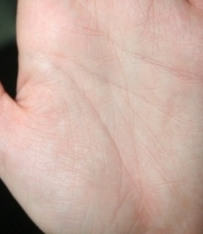 ������������� �����������